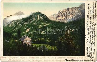 1903 Tátra, Vysoké Tatry; Tarpataki völgy a középorom és a Lomniczi csúccsal. Cattarino kiadása / Kohlbachthal mit dem Mittelgrad und Lomnitzerspitze / valley, mountain peaks  (EK)
