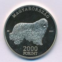 2020. 2000Ft Cu-Ni-Zn "Komondor" T:P