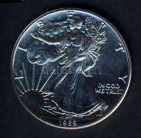 USA 1989. 1$ Ag "Liberty" T:1