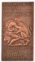 1982 A III. Kötöttfogású Birkózó Világkupa Magyarország bronz emlékplakett, 10×5,5 cm