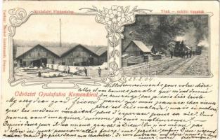 1904 Gyulafalva (Kommandó, Comandau); fűrésztelep, tönk szállító vonatok. Atelier Rembrandt / sawmill, timber transport industrial railway. Art Nouveau, floral (EK)