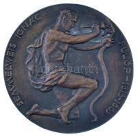 ~1960. "Semmelweis Ignác Fülöp - 1818-1863" jelzetlen, öntött Br emlékérem (71mm) T:1-