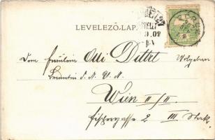 1902 Sérc, Schützen am Gebirge; vasútállomás / Bahnhof / railway station  (EK)