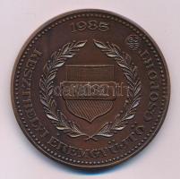 Garamkeszi János (1936-) 1985. "KIOSZ 1985 - Keszthelyi Éremgyűjtő Csoport / Centenáriumunk Emlékérem - 1885 Keszthely" Br emlékérem (60mm) T:1- Adamo KE40