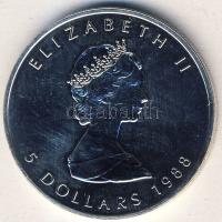 Kanada 1988. 5$ Ag "Erzsébet" T:1