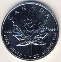 Kanada 1989. 5$ Ag "Erzsébet" T:1