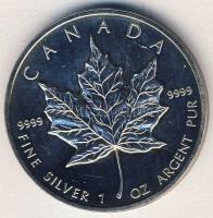 Kanada 1988. 5$ Ag "Erzsébet" T:1