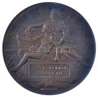 Beck Ö. Fülöp (1873-1945) 1896. "KÖZREMŰKÖDŐK ÉRME / 1896-iki EZREDÉVES ORSZÁGOS KIÁLLÍTÁS" Br emlékérem "FANTA NÁNDOR" részére (60mm) T:2  HP 754