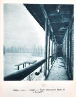 Nadler Herbert: A keleti és déli Kárpátokban. Vadásznapló. Bp., 1943, dr. Vajna és Bokor, 295 p.+40 ...