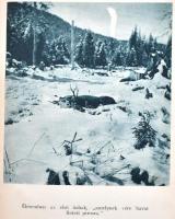 Nadler Herbert: A keleti és déli Kárpátokban. Vadásznapló. Bp., 1943, dr. Vajna és Bokor, 295 p.+40 ...