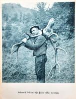 Nadler Herbert: A keleti és déli Kárpátokban. Vadásznapló. Bp., 1943, dr. Vajna és Bokor, 295 p.+40 ...