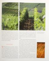 Alkonyi László: Tokaj. A szabadság bora. The wine of freedom. Börcsök Zoltán, Erhardt Gábor, Nagymar...