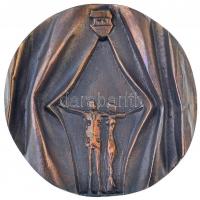 1981. "Irodalmi színpadok és színjátszó csoportok néphadseregi bemutatója Eger 1981" Br emlékplakett eredeti dísztokban (113mm) T:1-