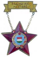 ~1970-1980. "Szakma Ifjú Mestere" zománcozott fém kitüntetés T:2 rátét mozog