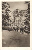 Tátra, Magas-Tátra, Vysoké Tatry; Honvéd ski tanfolyam a Magas Tátrában. Erdőben, síelő katonák, téli sport / V zimnej hore / Honvéd Skikurs in der Hohen Tátra. Im Winterwalde / ski, winter sport in the forest, K.u.K. soldiers ski training