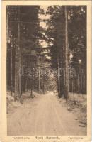 Modor-Harmónia, Modra; Turistská cesta / Turistaút / Touristenweg / tourist road (EK)