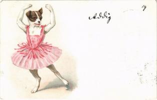 1899 (Vorläufer) Ballet dancer dog. litho (EK)