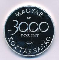 2000. 3000Ft Ag "Veszélyeztetett állatvilág - hód" kapszulában, tanúsítvánnyal T:PP 
Adam...