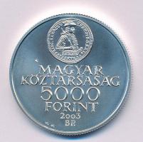 2003. 5000Ft Ag "Rákóczi szabadságharc 300. évfordulója" kapszulában, tanúsítvánnyal T:BU ...