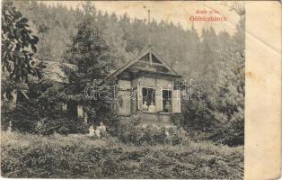Gölnicbánya, Bergstadt Gölnitz, Gelnica; Korb villa / villa (fa)