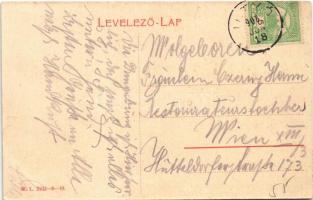 1908 Soborsin, Savarsin; Fasor és Hunyadi gróf kastélya, Erzsébet tér, Erzsébet királyné szobor, Sei...