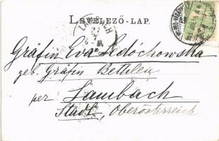 1905 Várhegy, Schlossberg, Chinari (Marosvásárhely, Targu Mures); kastély, kúria / castle, villa (EK...