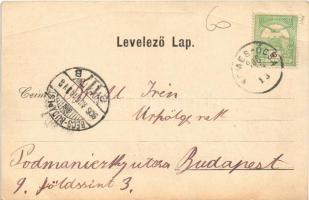 1906 Nemesócsa, Zemianska Olca; Holczer Adolf vendéglője, vegyeskereskedése, raktára, üzlete és magt...