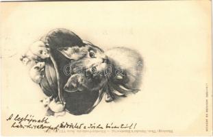 1899 Cat with hat and mouses. Theo. Stroefers Kunstverlag Künstler-Postkarte Serie VIII. Nr. 5561. (EK)