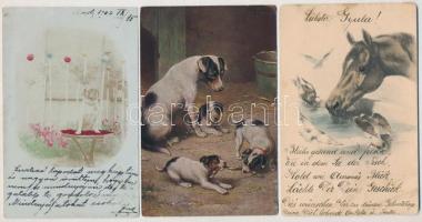15 db RÉGI motívum képeslap: állat, vadász, kutya / 15 pre-1945 motive postcards: animal, hunting, dog