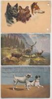 15 db RÉGI motívum képeslap: állat, vadász, kutya / 15 pre-1945 motive postcards: animal, hunting, d...