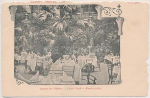 Budapest V. Vadászkürt szálloda (igazgató Kommer Ferenc), Pálmakert. Türr István utca 5. / Jardin des Palmes Court Yord (szakadások / tears)