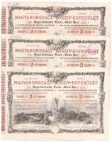 Budapest 1888. Magyarországi Jószív-Egyesület sorsjegykölcsön 2Ft-ról, szárazpecséttel (3x, 2db sorszámkövető, 1db közeli sorszám) T:II-