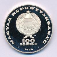 1974. 100Ft Ag "25 éves a KGST" T:PP
Adamo EM43