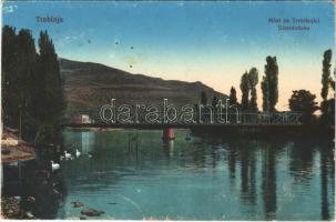1917 Trebinje, Most na Trebisnjici / Eisenbrücke / railway bridge + "K.u.K. Reservespital Lugos" (fl)