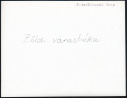 cca 1932 Kinszki Imre (1901-1945) budapesti fotóművész hagyatékából, a szerző által feliratozott vin...