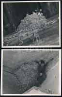 cca 1936 Kinszki Imre (1901-1945) budapesti fotóművész hagyatékából, pecséttel jelzett 4 db vintage ...