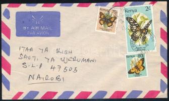 Kenya 1993, Kenya 1993