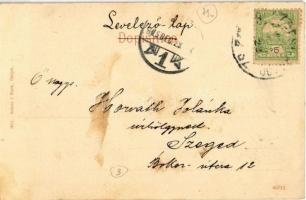 1905 Eszék, Esseg, Osijek; Vrt restauracije k' Dravskom mostu / Restaurationsgarten zur Draubrü...