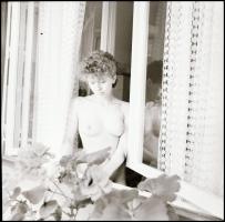 cca 1983 Lakások és háziasszonyok a négy fal között, 7 db vintage NEGATÍV Menesdorfer Lajos (1941-20...