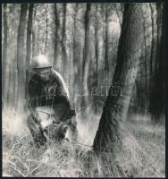 1980 Kabáczy Szilárd székesfehérvári fotóriporter és fotóművész hagyatékából, pecséttel jelzett vintage fotó (Dől a fa), 19,3x18,1 cm