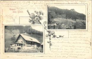 1903 Ebnit (Dornbirn), Gasthaus zur Alpenrose, Totalansicht / inn, hotel, general view. Verlag v. M. Rützler Fotogr. Art Nouveau, floral (EK)