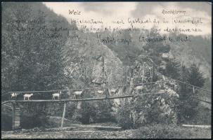Ausztria 1908