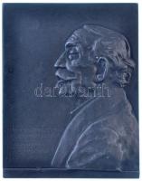 Murányi Gyula (1881-1920) 1916. "A magyar írók nesztorának, a 80 éves Ágainak szeretettel Murányi" Zn plakett (68x53,5mm) T:2 Hungary 1916. "To the Nestor of the Hungarian writers, the 80 years old Ágai from Murányi with love" Zn plaque. Sign.: Gyula Murányi (68x53,5mm) C:XF HP 3710.