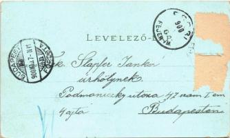 1900 Ercsi, Fő utca, Eötvös emlékszobor. Floral, Art Nouveau, litho (Rb)