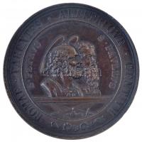 Olasz Államok / Pápai Állam 1867. Szent Péter és Szent Pál mártíromságának 1800. évfordulójára készült Br emlékérem (48mm) T:1-,2 ph. Italian States / Papal State 1867. Br commemorative medal made for the 1800th Anniversary of the martyrdom of St. Peter and St. Paul. "PIO IX PONTIFICE MAXIMO SAECVLARIA SOLEMNIA TRIVMPHO PETRI ET PAVLLI APOSTOLOR RECOLENDO ACTA ROMAE III KAL IVLIAS AN CHR MDCCCLXVII" (48mm) C:AU,XF edge errors