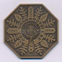 1980. "OEE (Országos Erdészeti Egyesület) Vándorgyűlése - Gödöllő 1980" Br emlékérem (55mm) T:1-