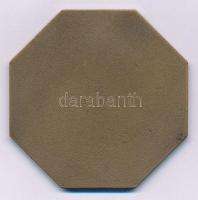 1980. "OEE (Országos Erdészeti Egyesület) Vándorgyűlése - Gödöllő 1980" Br emlékérem (55mm...