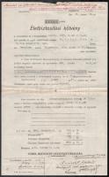1922 Életbiztosítási kötvény 2 db másolata, Turul Biztosító Részvénytársaság, Várpalánkán született, igali m. kir. állatorvos és fia részére, hajtásnyommal, lap tetején apró szakadással