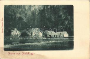 Steinkogl, Steinkogel (Ebensee am Traunsee), general view, hotel. Atelier Vismara (fl)