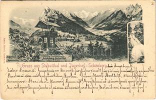 1898 Schönberg im Stubaital (Tirol), Gruss aus Stubaithal und Jagerhof-Schönberg. Witting-Aussichtswarte, Jagerhof mit Restauration / lookout tower, waterfall, inn, hotel, restaurant. Hanns Biendl. Art Nouveau, floral (EK)